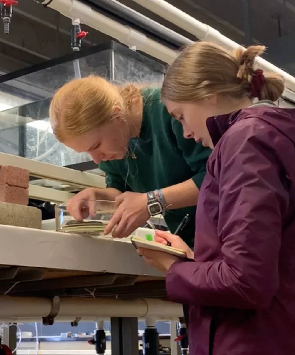 Caroline Donohew, right, and Lainie Mikeska partnered on the mussel project for their summer session research at Bodega Marine Laboratory. (Courtesy of Caroline Donohew)