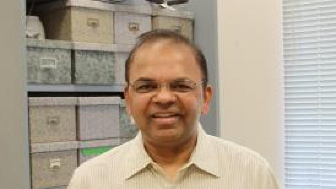Savithramma Dinesh-Kumar, professor of plant biology and interim chair of the Department of Plant Biology. Credit: UC Davis.