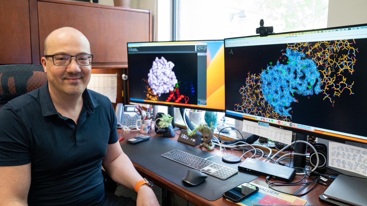 Nitzan Shabek, associate professor in the Department of Plant Biology, uses biochemistry and structural biology techniques to investigate the signaling pathways and sensing mechanisms that allow plants sense their environment. (Sasha Dmitriy Bakhter / UC Davis)