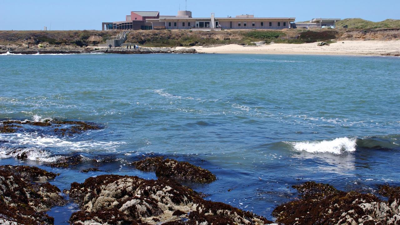 Bodega Marine Lab