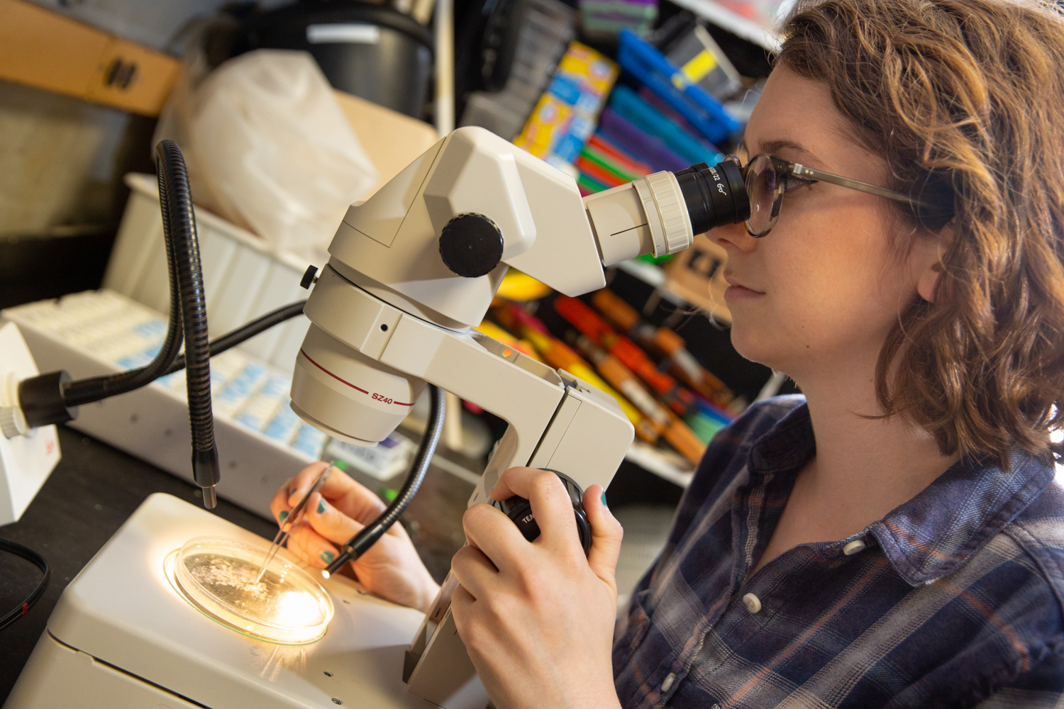 Meyers looks through a microscope