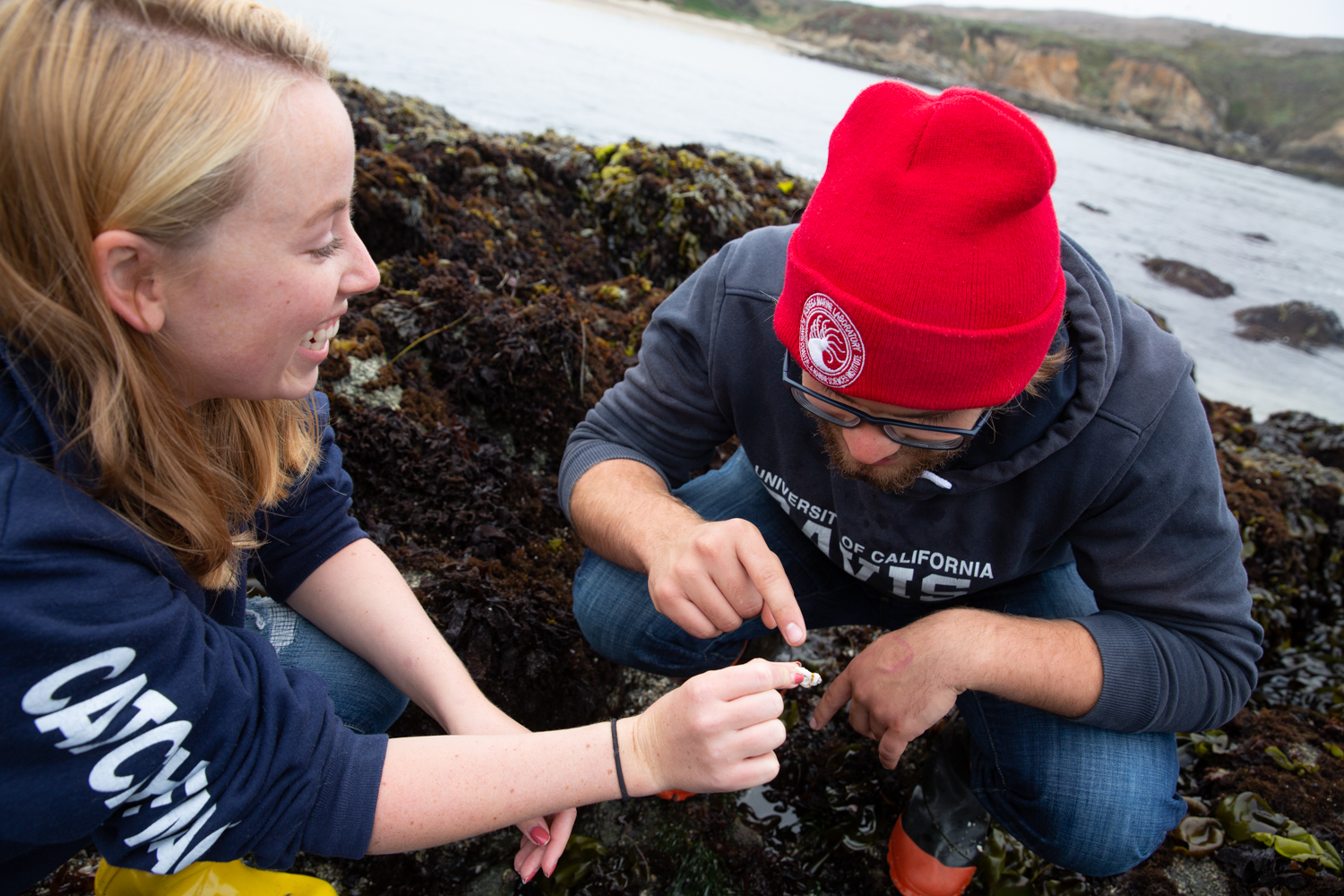 Evan Tjeerdema and Holley Maassen explore the tide pools near the Bodega Marine Laboratory