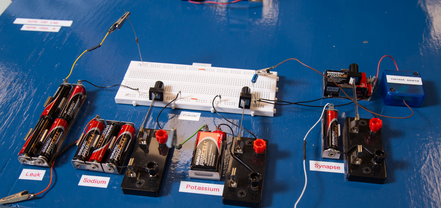 Experiment set-up from Goldman's class