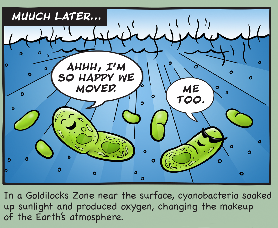 In a Goldilocks Zone near the surface, cyanobacteria soaked up sunlight and produced oxygen, changing the makeup of the Earth's atmosphere