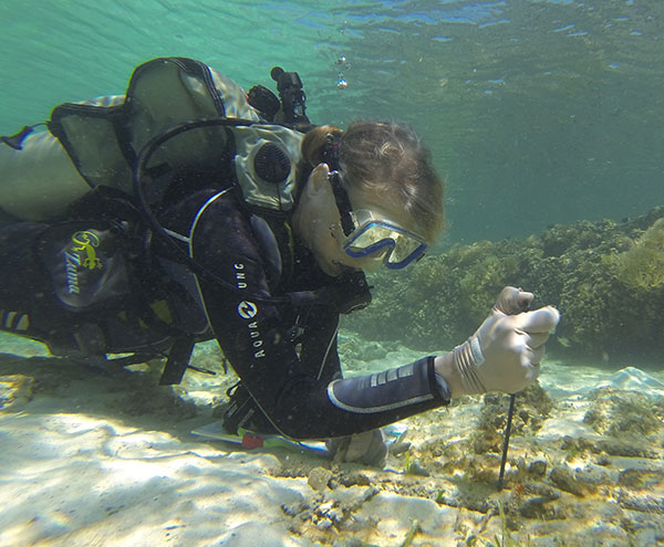 Williams takes sediment measurements from a seagrass plot in Sulawesi, Indonesia.