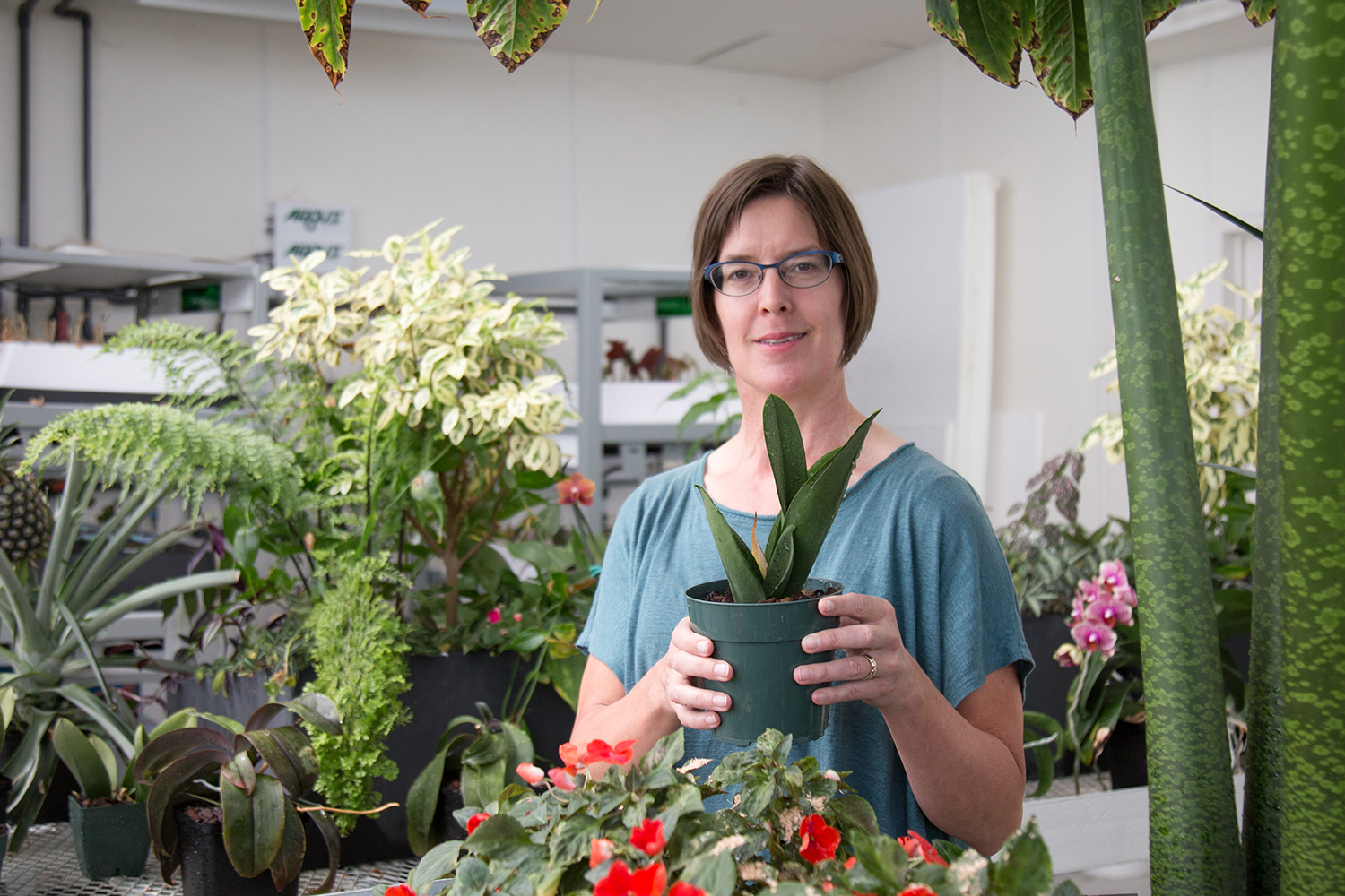 Stacey Harmer stands in a UC Davis greenhouse