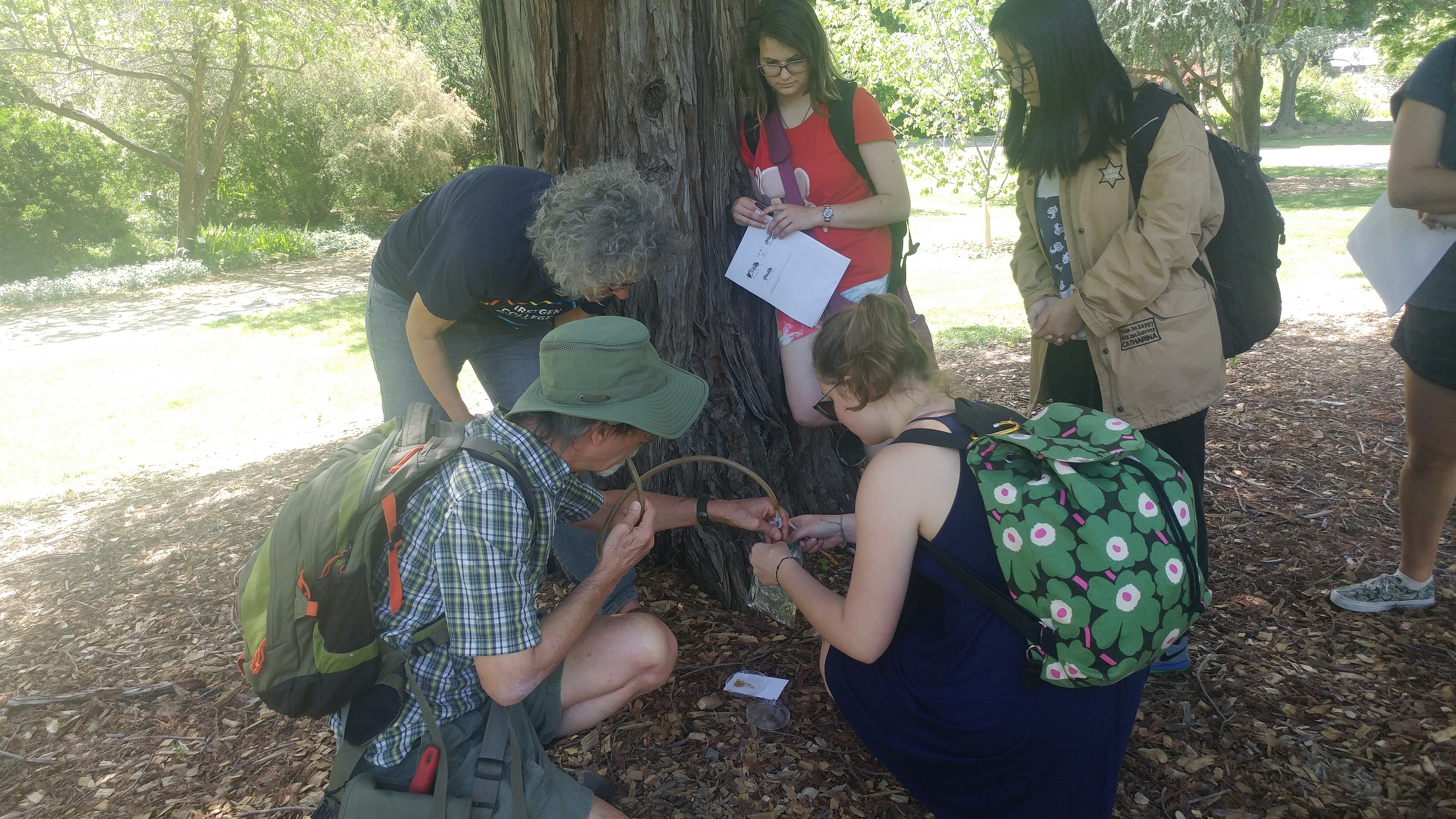 Professor Phil Ward (front left, kneeling) and Ella Brydon (front right, kneeling) use a pooter to collect native ant species in the Arboretum while Professor Sharon Strauss, Isabelle Gilchrist and Xinyu Gao (back, left to right) look on. The collected ants will be contributed to the citizen science program School of Ants. Laci Gerhart-Barley