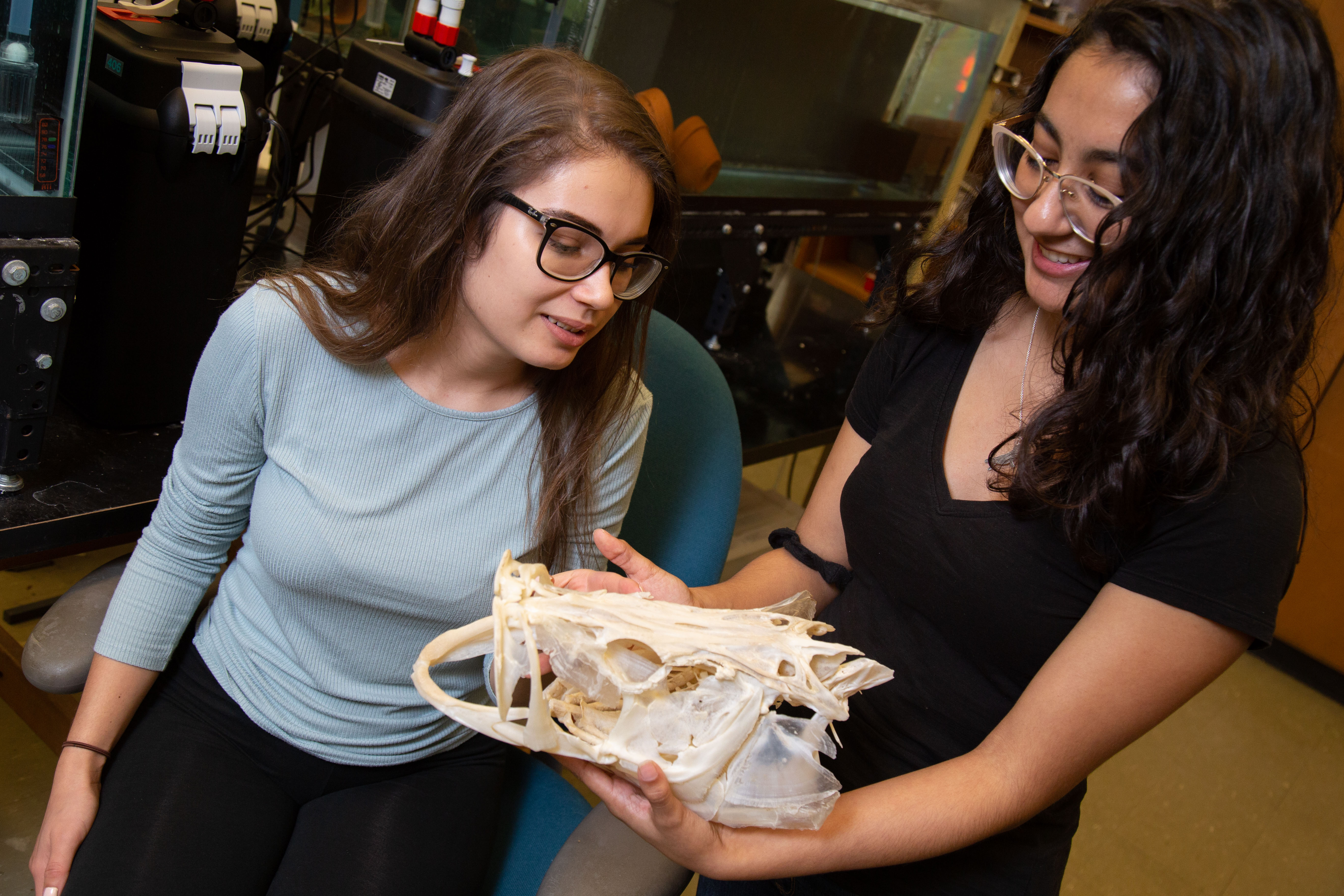 Victoria Susman and Angelly Tovar look at a fish skull