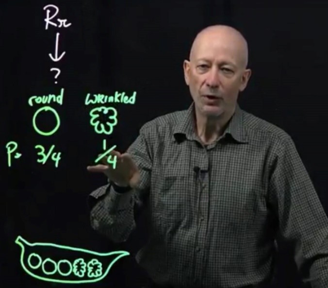 A screenshot from Comai’s Learning Glass video series on probability in genetics.