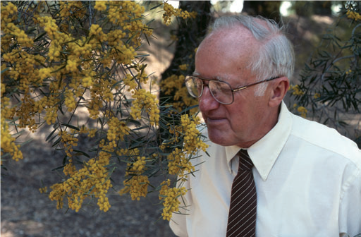 Professor Emeritus Eric Conn admires an acacia treee at the UC Davis Arboretum Eric E. Conn Acacia Grove.