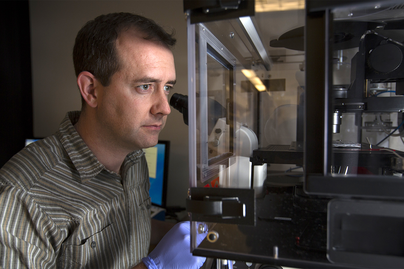 Sean Collins’ lab uses automated microscopy to understand immune cell migration. Fred Greaves/UC Davis