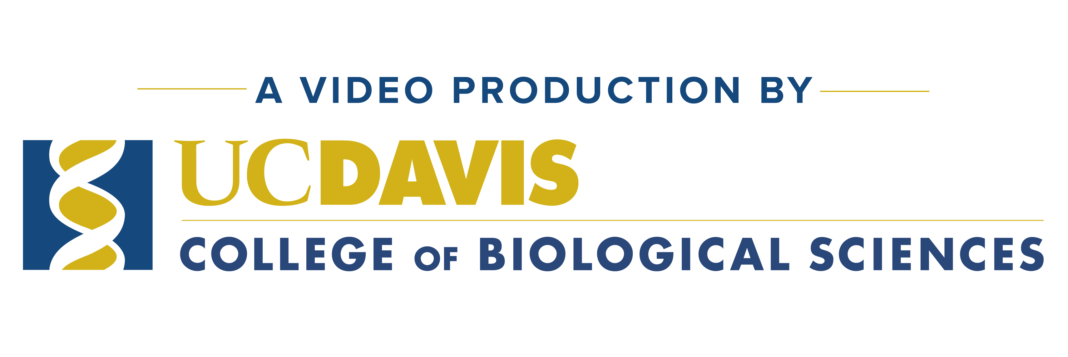 CBS video logo