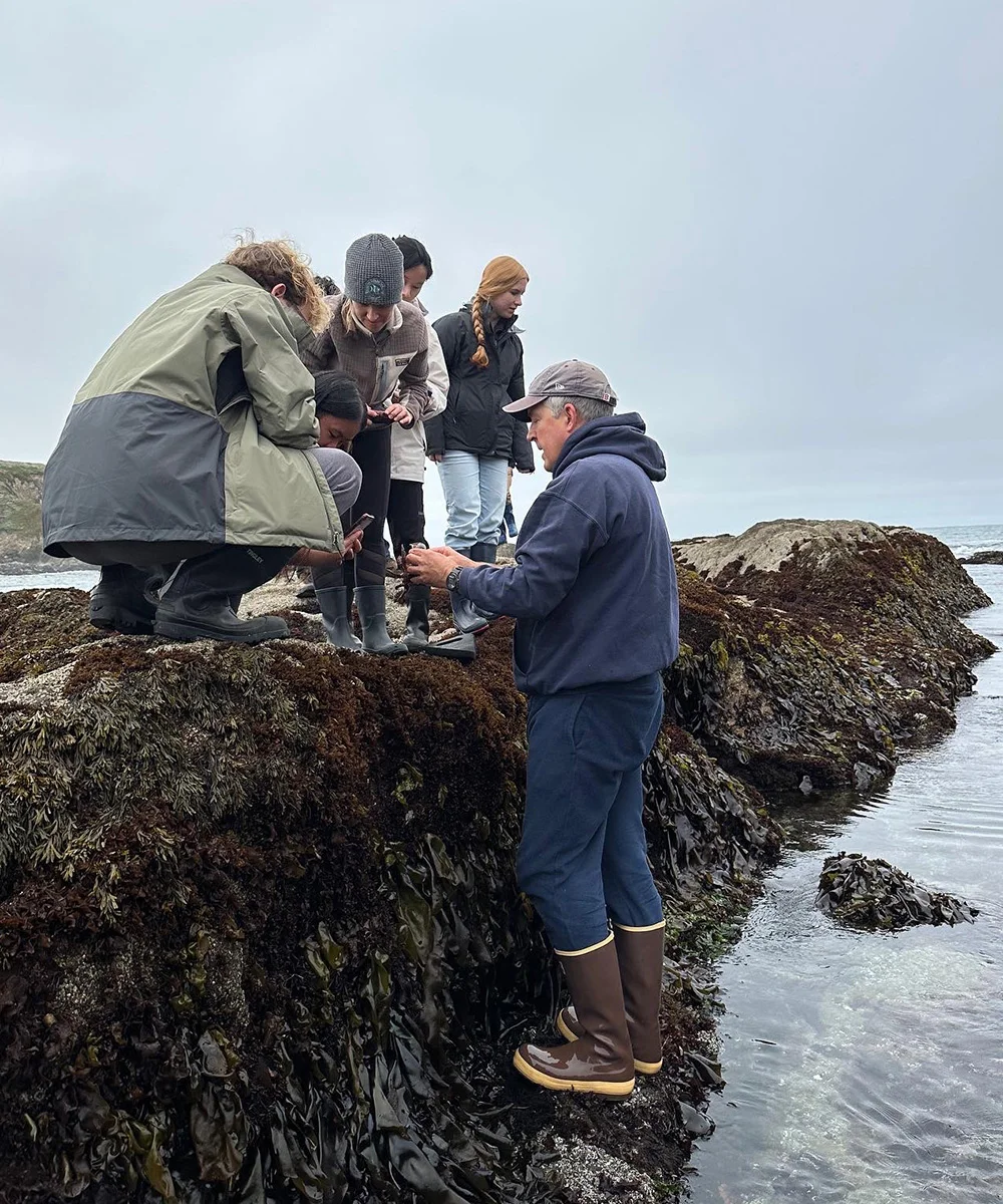 Professor Eric Sanford teaches "Coastal Marine Research" in the field during summer session. (Courtesy of Caroline Donohew)