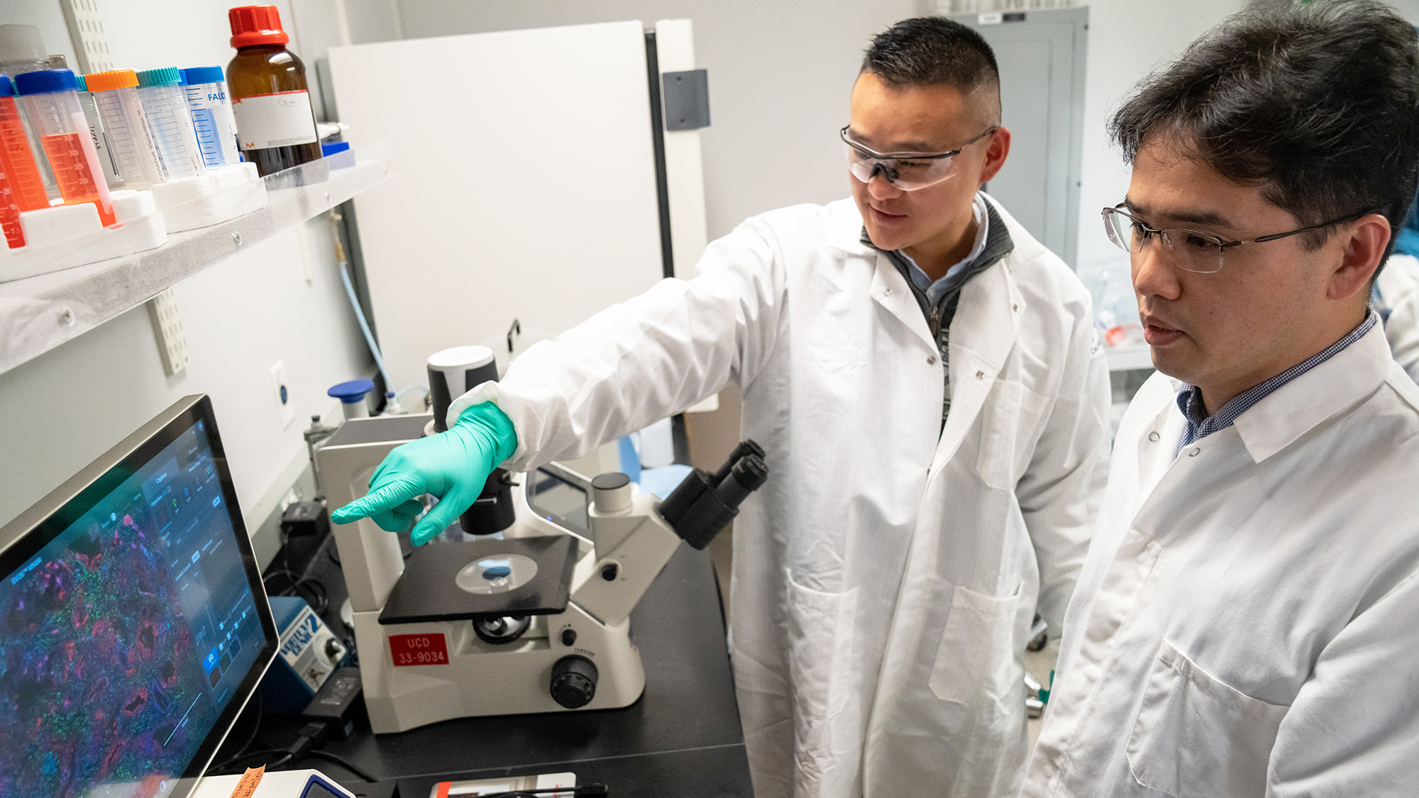 Chang-Il Hwang (right), an assistant professor in the Department of Microbiology and Molecular Genetics, and Jihao “Reno” Xu (left), a Ph.D. Hwang’s lab, were lead authors on a new study that has identified a new potential target for pancreatic cancer treatment. (Sasha Bakhter / UC Davis)