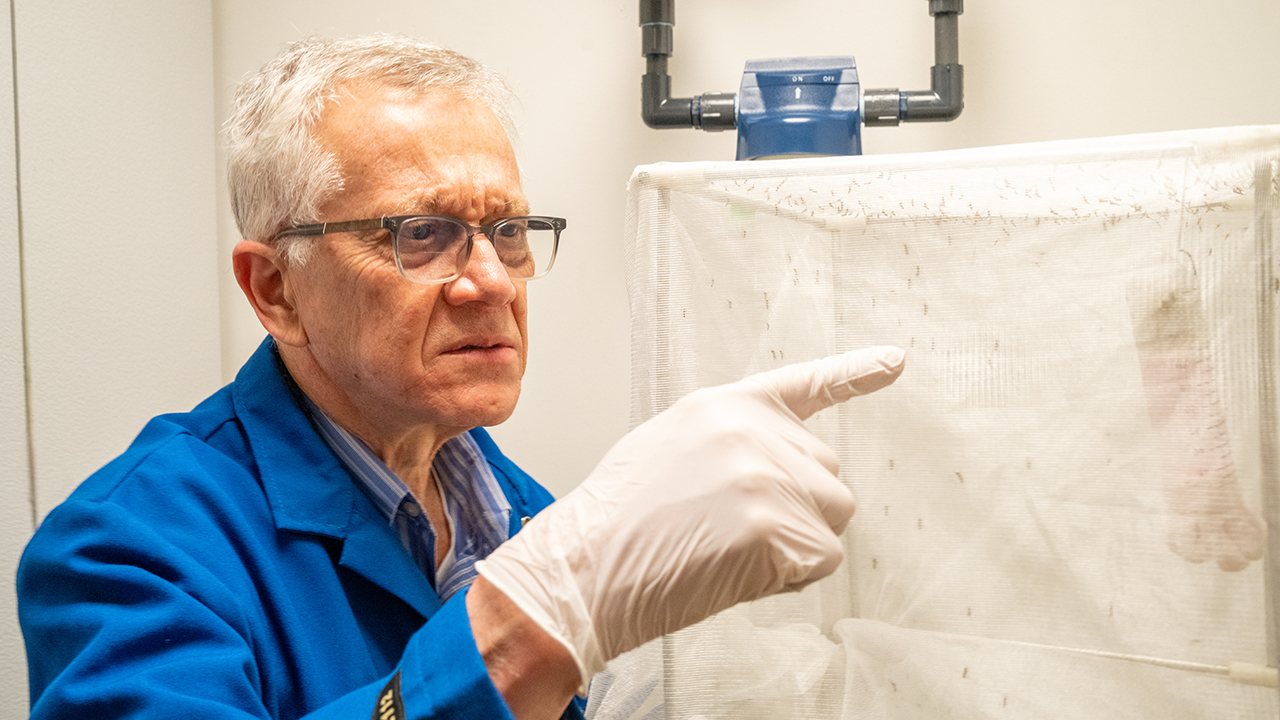 Among Leal’s most notable contributions to the field entomology was his elucidation of the mode of action of the insect repellent DEET, which may lead to improved repellants. (Sasha Bakhter / UC Davis)