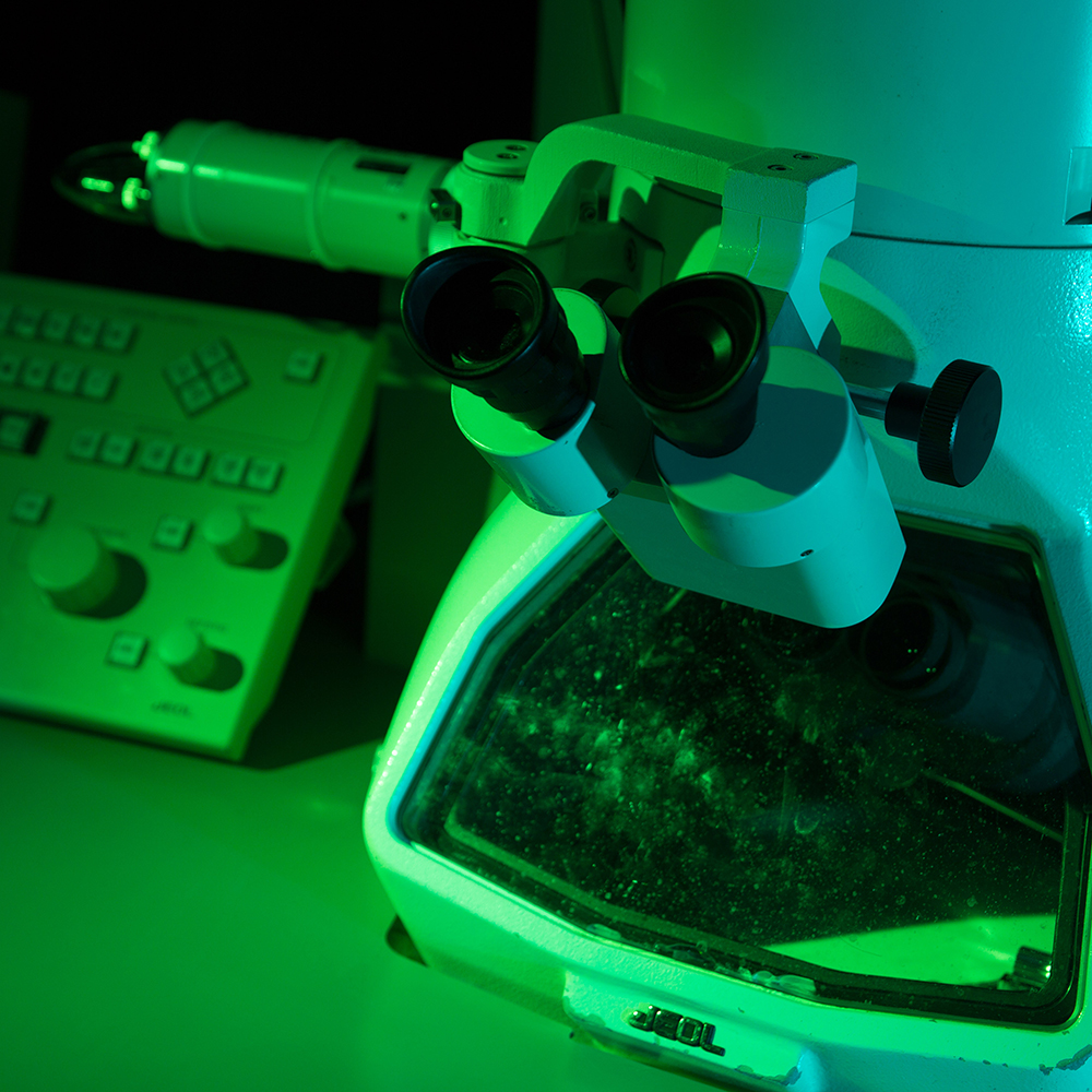 Microscope with greenish lighting