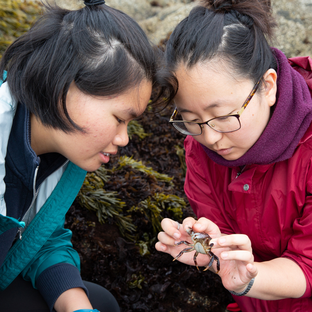Two female students outside examining a crab