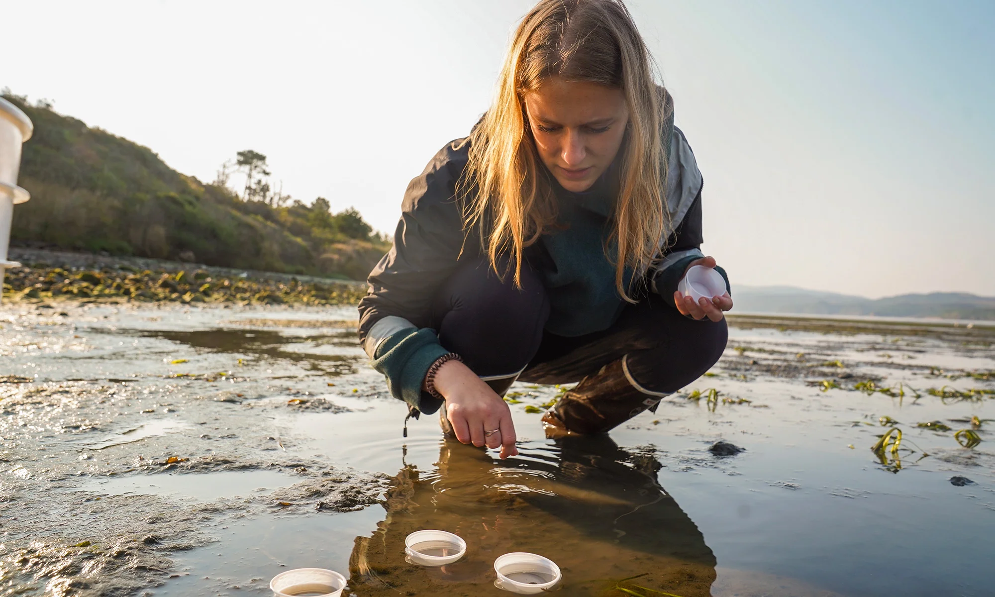 Zoe Brumbaugh is researching a newly identified invasive anemone in Tomales Bay. (Karin Higgins/UC Davis)