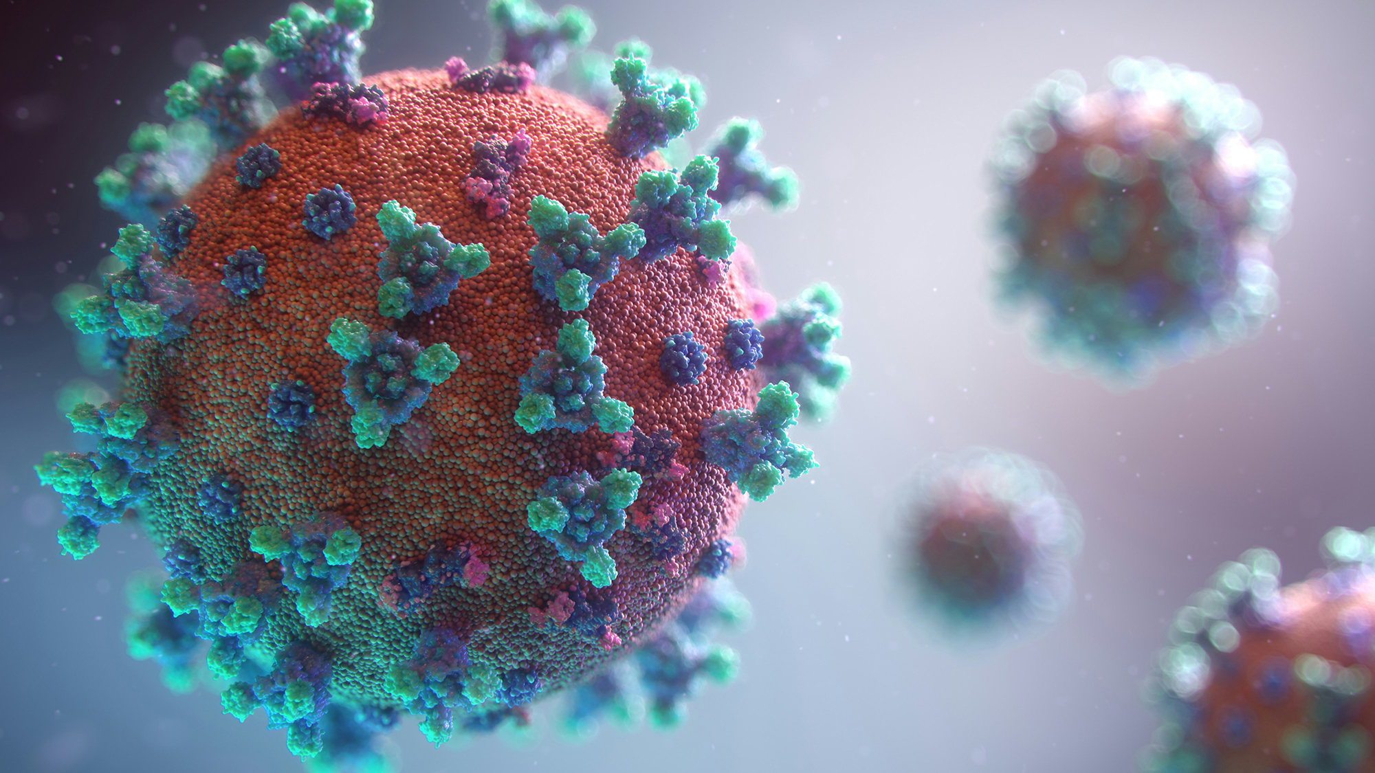 Arsuaga and an interdisciplinary team of researchers developed an artificial intelligence model capable of identifying coronavirus that could “spill over” from animals to humans. (Coronavirus visualization by Fusion Medical Animation)