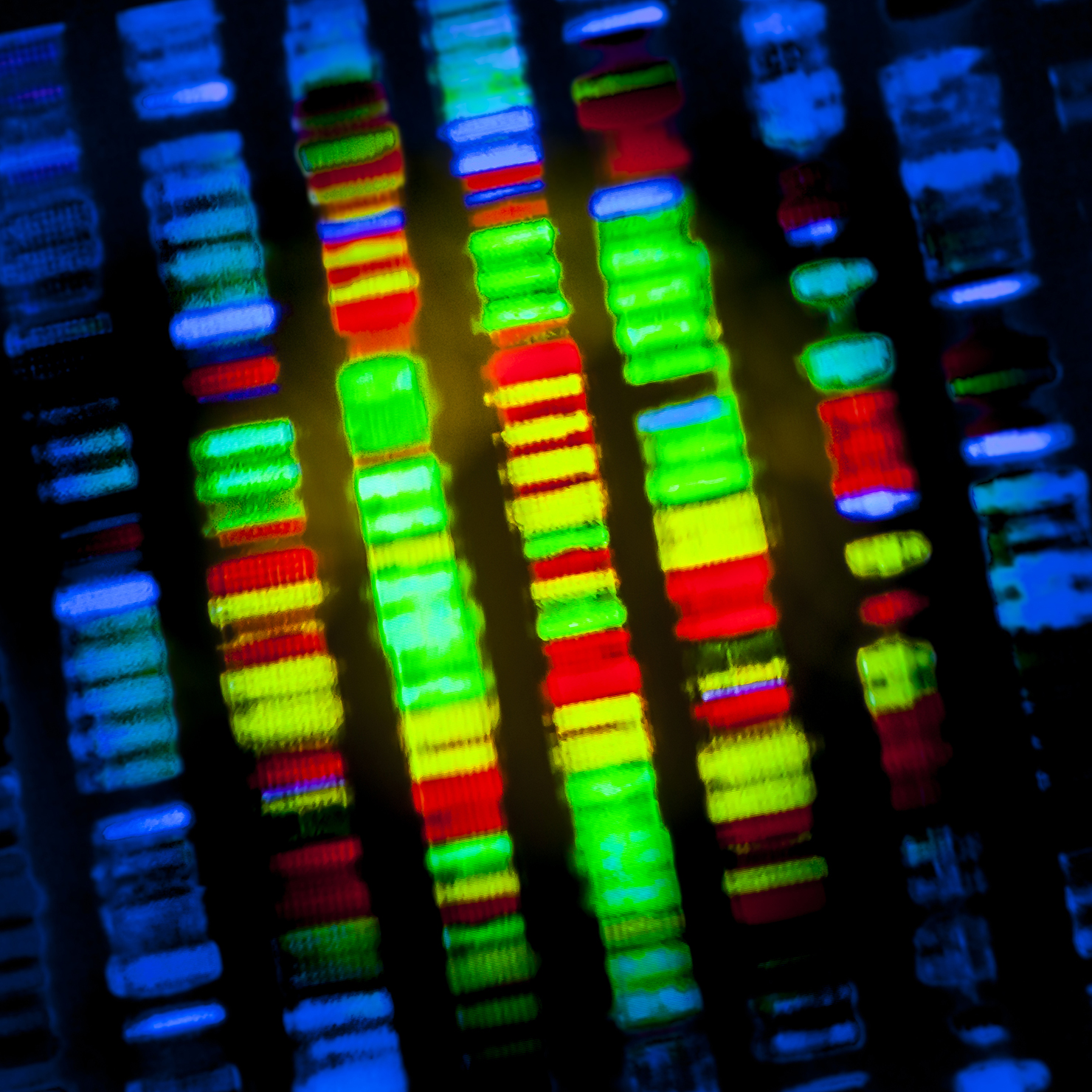 Multi-color DNA sequence
