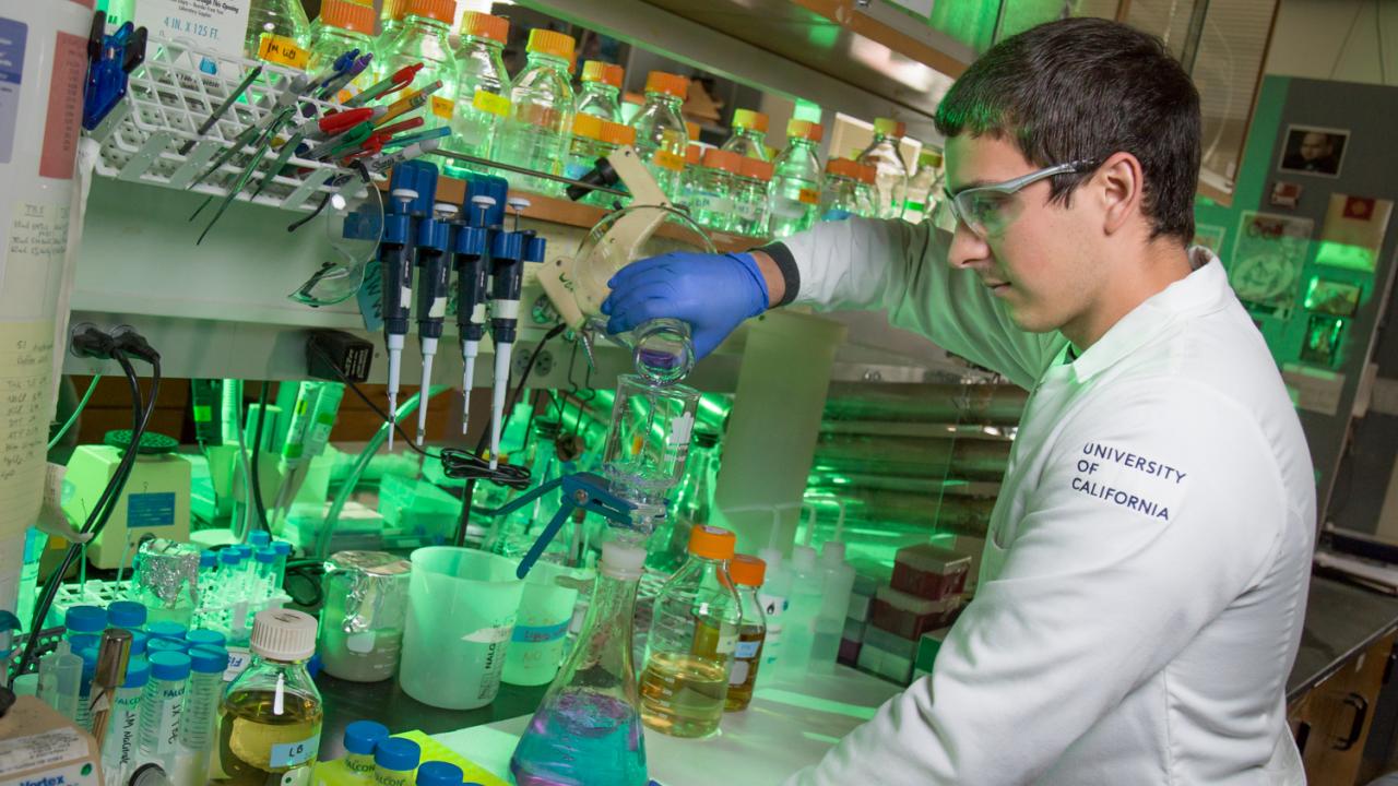 UC Davis College of Biological Sciences undergraduate researcher Benjamin Mallory performs a lab experiment.