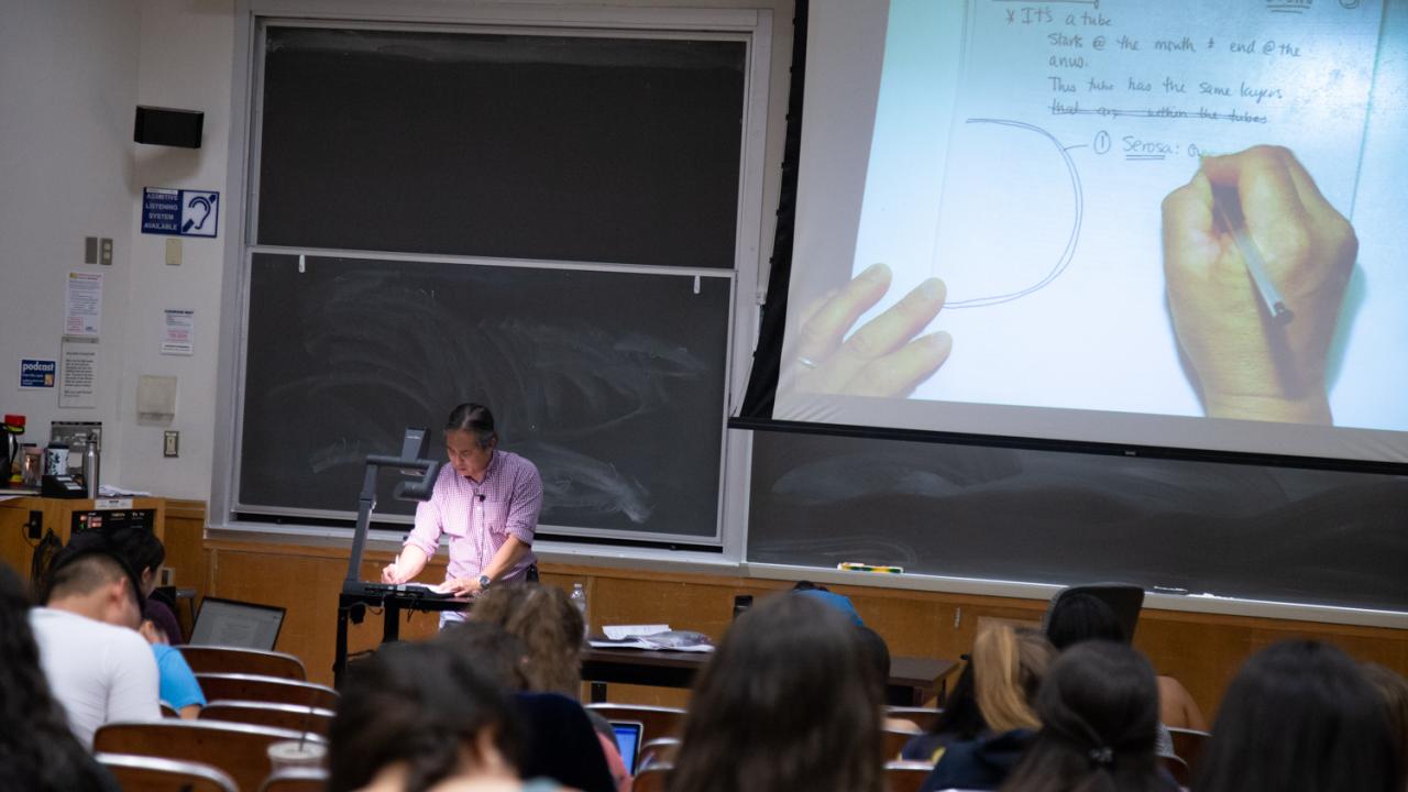 Erwin Bautista teaches a class at UC Davis. David Slipher/UC Davis