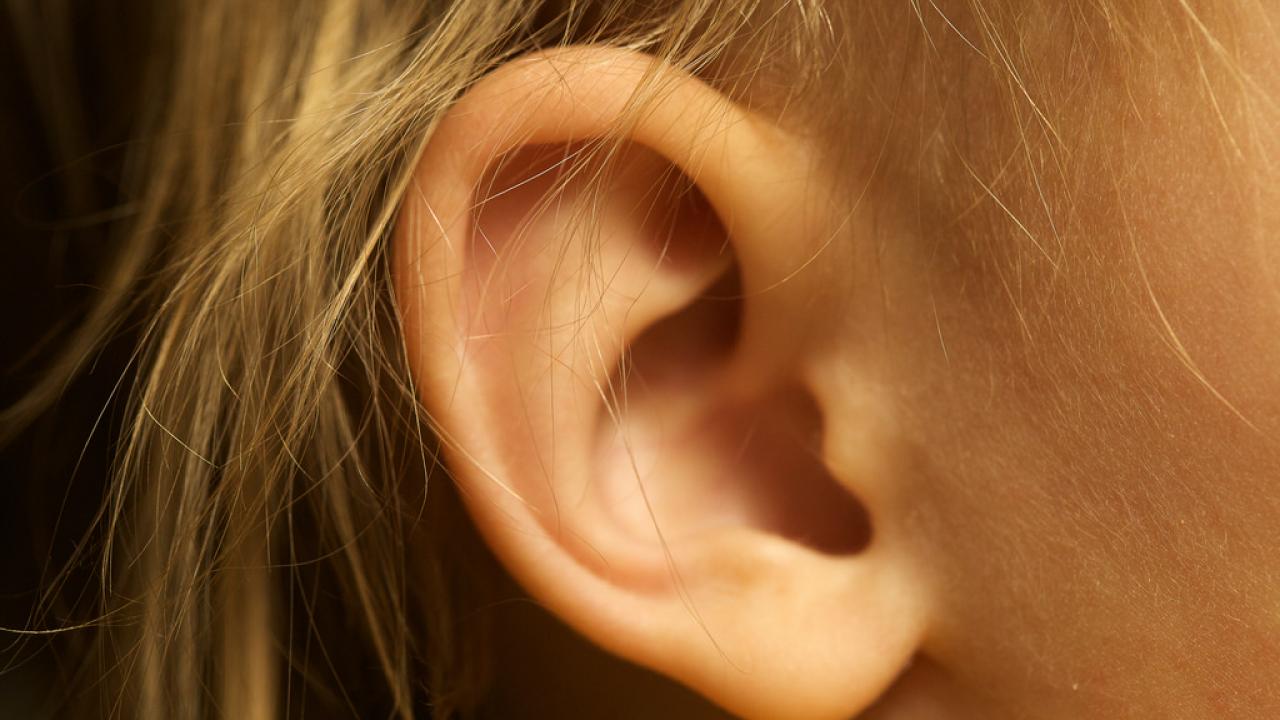 Image of a human ear. 