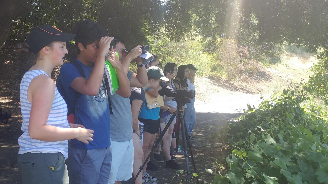 The Wild Davis class observes turtles in the Arboretum lake. Laci Gerhart-Barley