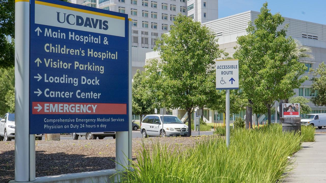 Through the UC Davis Emergency Medicine Research Associate Program, undergraduate students are getting hands-on experience in UC Davis Health's Department of Emergency Medicine. UC Davis Health