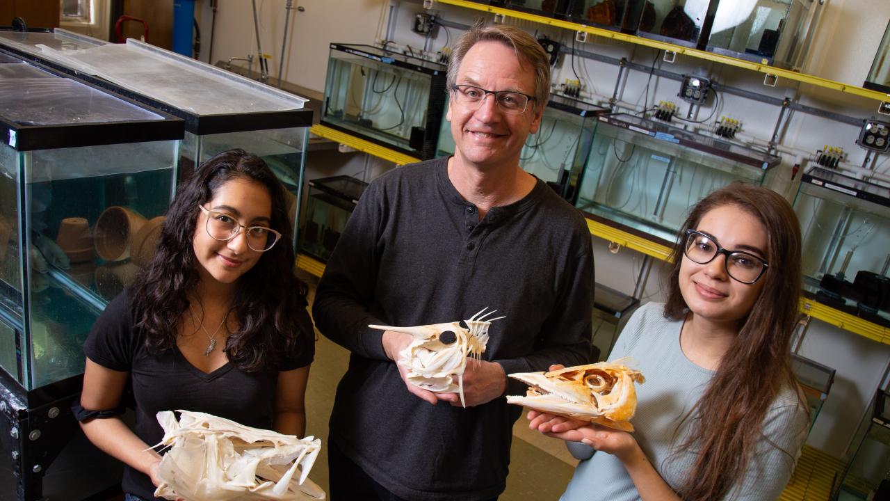 Wildlife, fish and conservation biology student Angelly Tovar, Professor Peter Wainwright and wildlife, fish and conservation biology student Victoria Susman stand in Wainwright's lab.