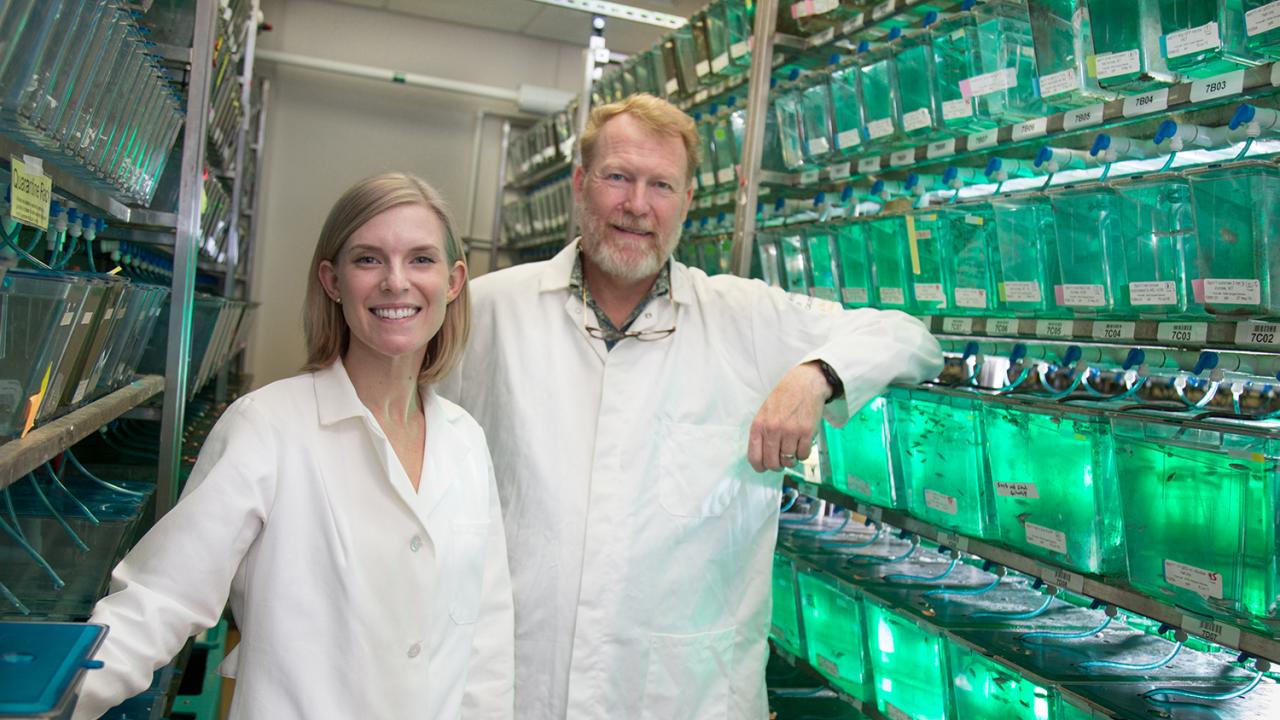 NIH T32 predoctoral training grant recipient Dena Leerberg, '17 Ph.D., and Associate Professor Bruce Draper, Department of Molecular and Cellular Biology, study reproductive development in zebrafish. David Slipher/UC Davis