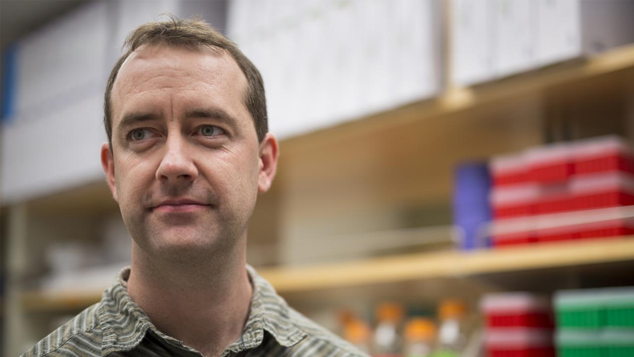 Sean Collins, assistant professor of microbiology and molecular genetics. Fred Greaves/UC Davis