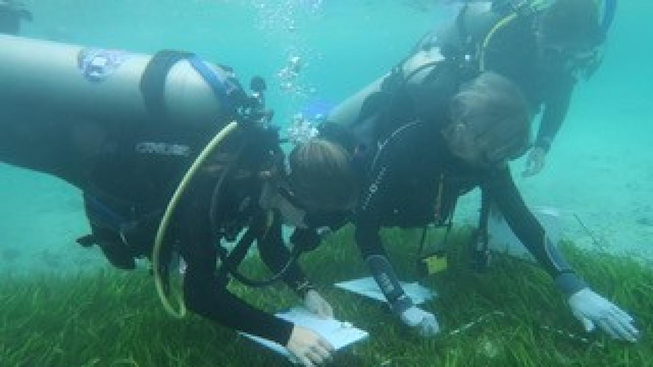 UC Davis researchers monitor seagrass in South Sulawesi, Indonesia (left to right: Jordan Hollarsmith, Susan Williams, Katie DuBois). Christine Sur