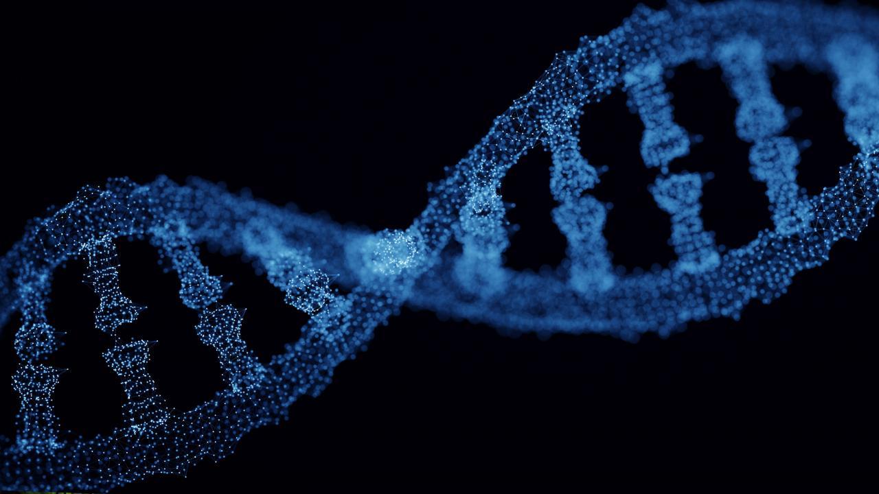 Graphic rendering of DNA helix