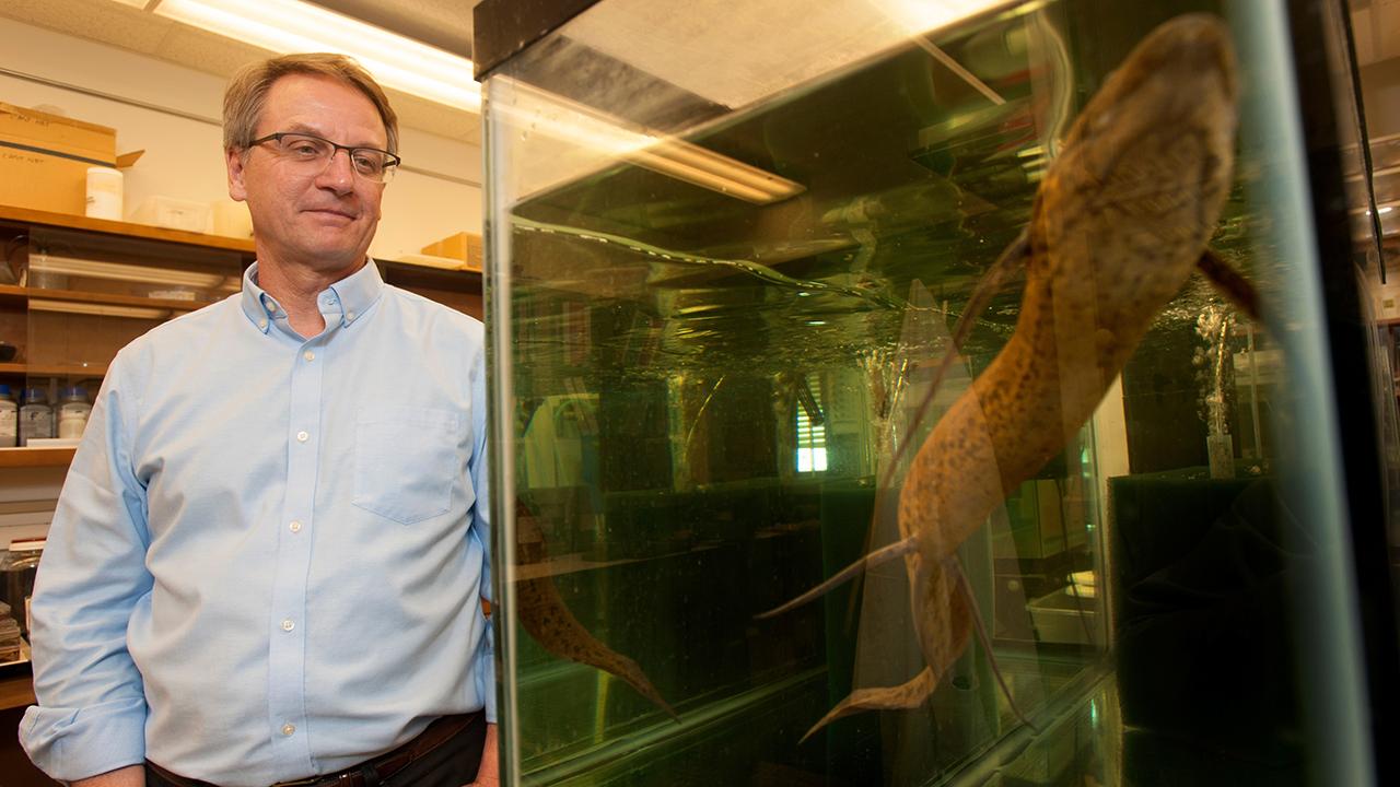 Peter Wainwright standing beside aquarium containing a lungfish