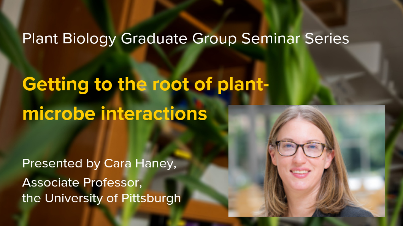 Plant Biology Graduate Group Seminar Series: "Getting To The Root Of ...