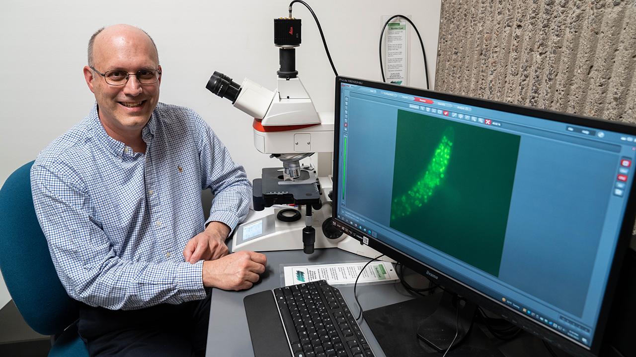 Dan Starr sitting in laboratory setting beside computer screen on which is an image of the roundworm.