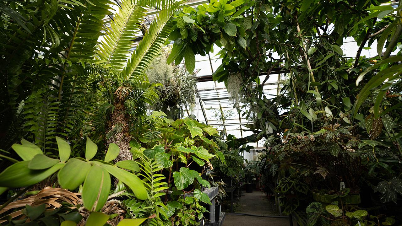 Botanical conservatory