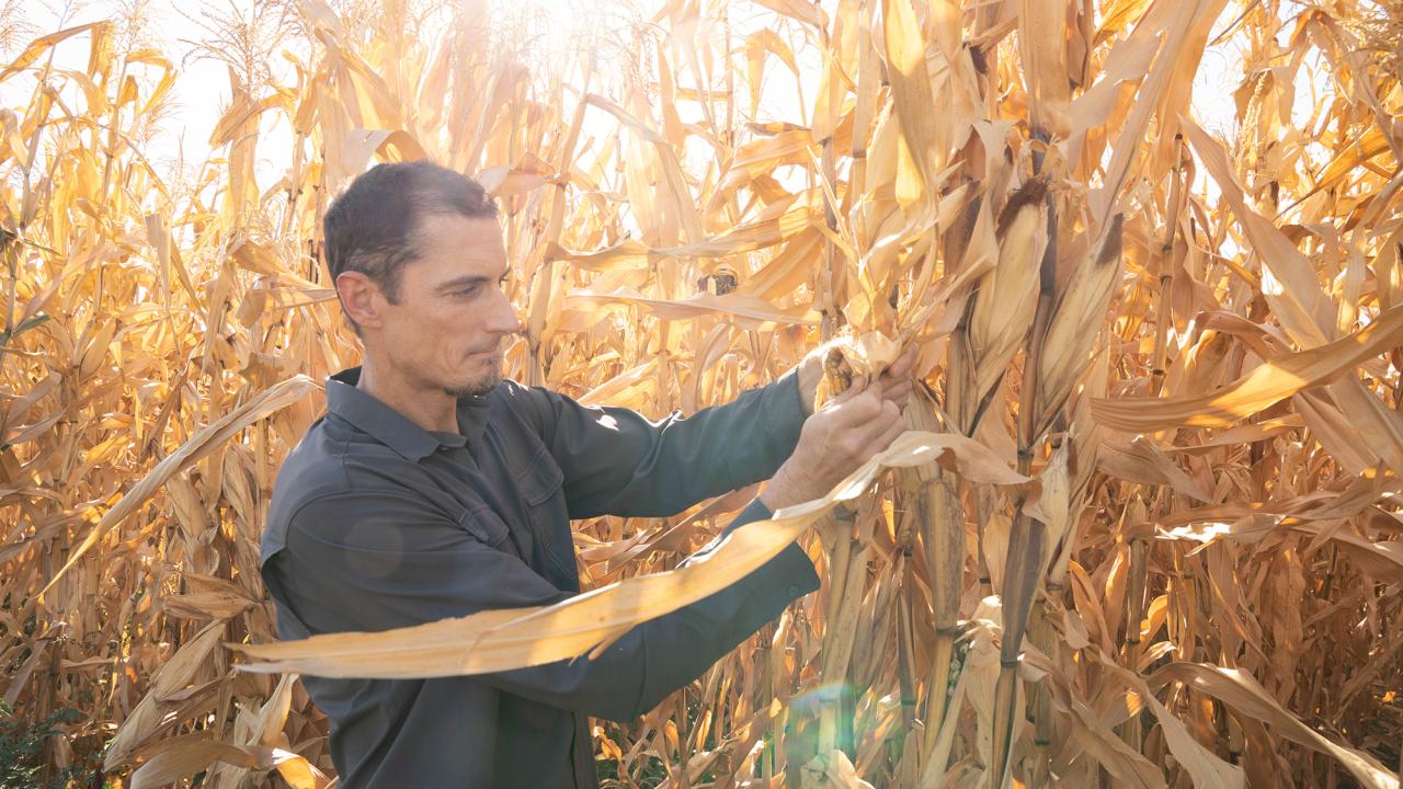 Jeffrey Ross-Ibarra, a professor of evolution and ecology, has received the National Academy of Science Prize in Food and Agriculture Sciences for his work on the evolutionary genetics of maize. (Sasha Bakhter / UC Davis)