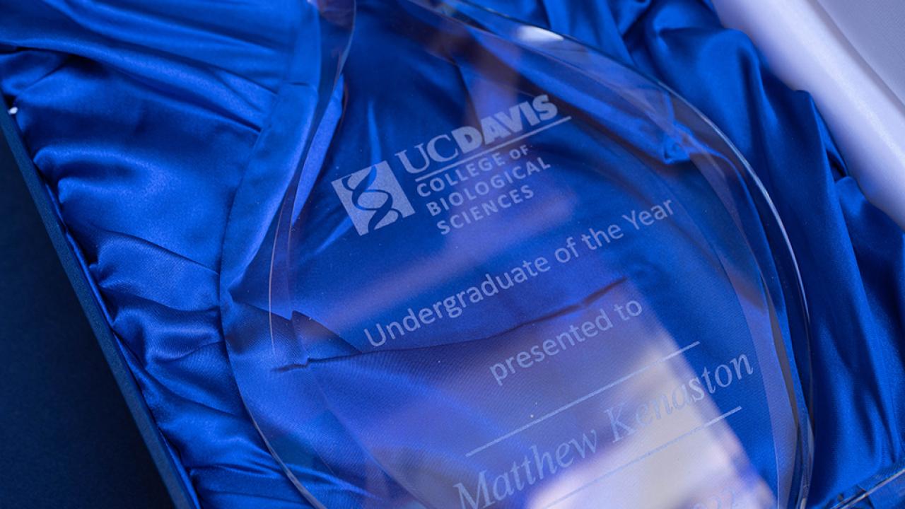 Closeup image of glass trophy in blue fabric lined case. 