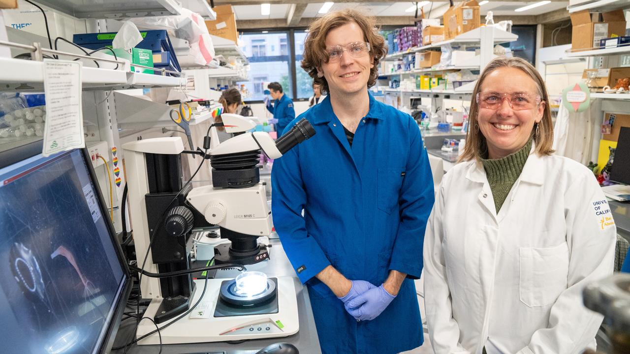 Ben Cox, a postdoctoral researcher in the lab of Celina Juliano, studies the regenerative capabilities of Hydra vulgaris to understand tissue regeneration after injury. (Sasha Bakhter / UC Davis)