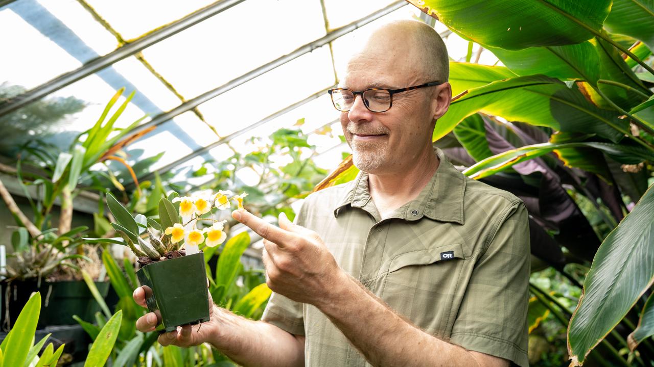 Joel Ledford inspects flowers in the College of Biological Science’s botanical conservatory. 
