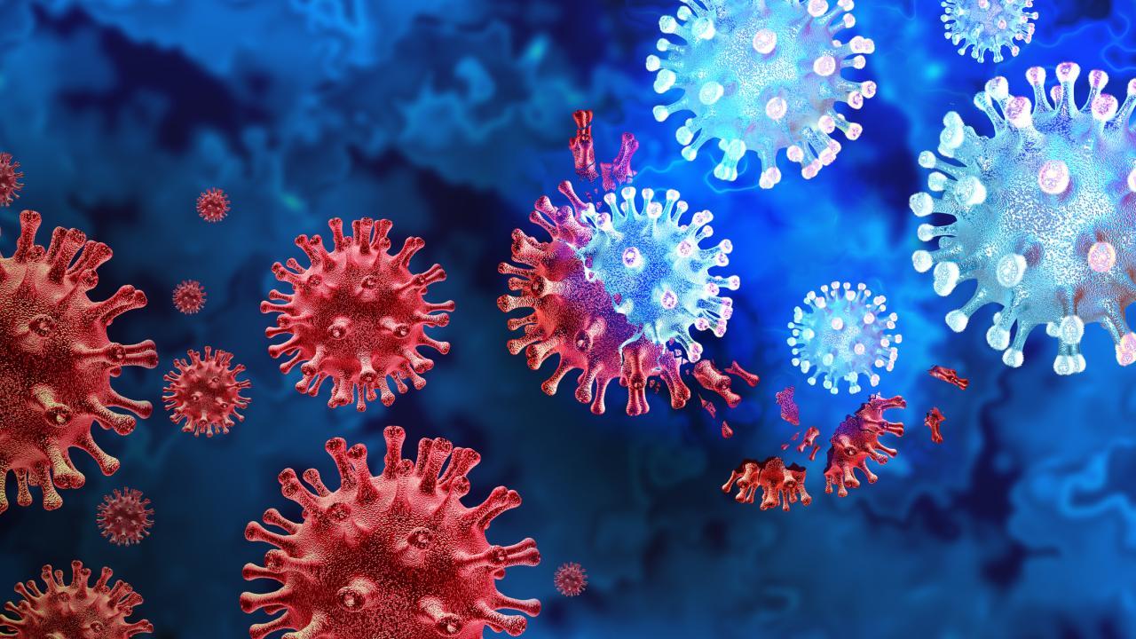 Graphic rendering of viruses in red and blue
