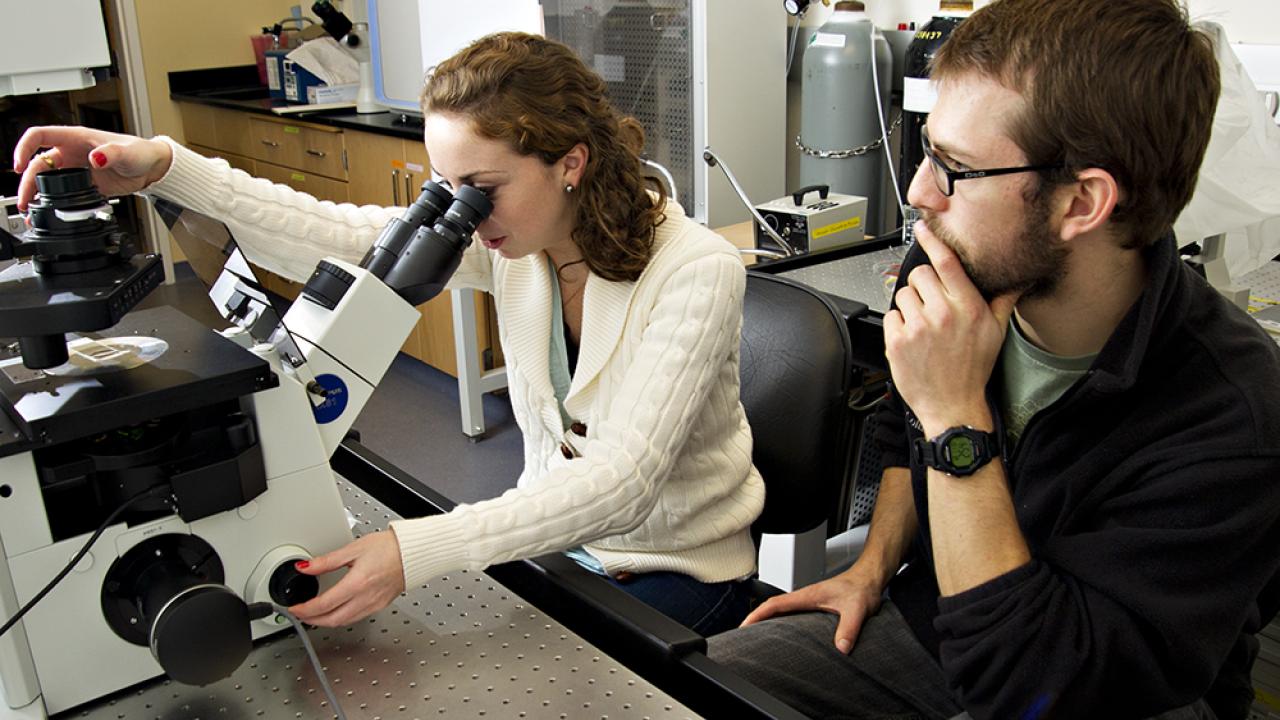 researchers looking through microscope