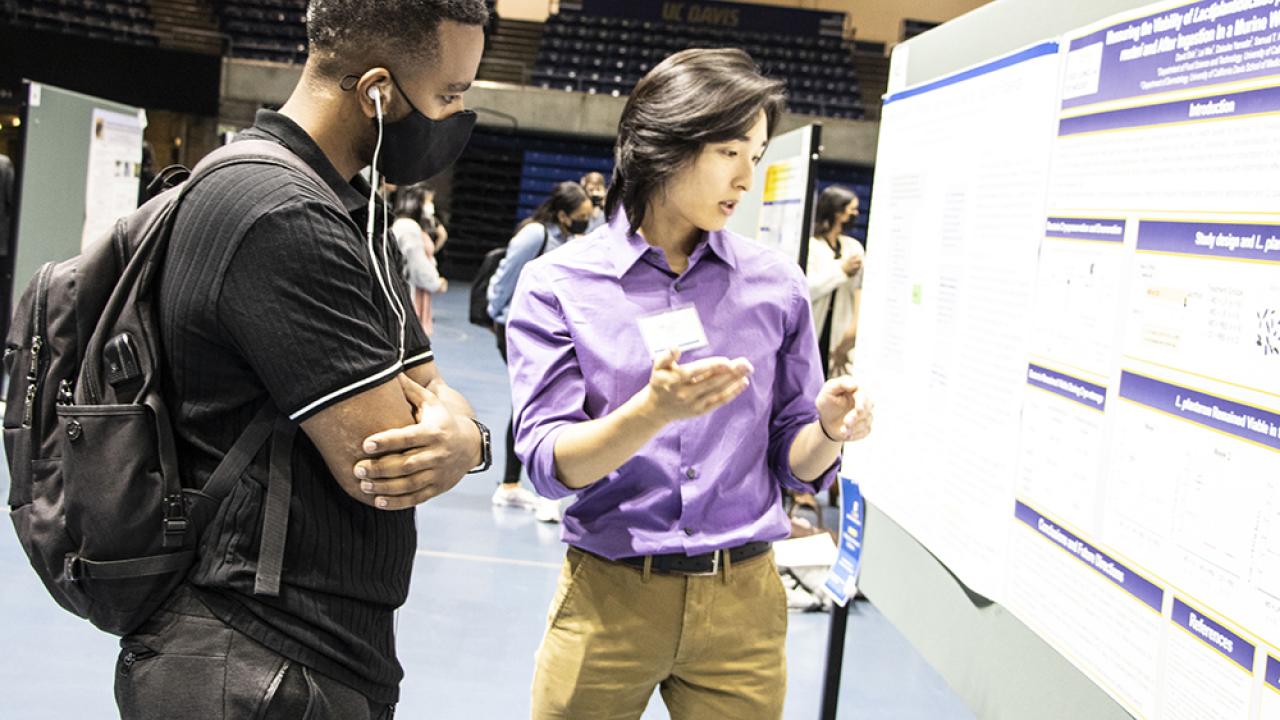 Two male students looking at a research poster