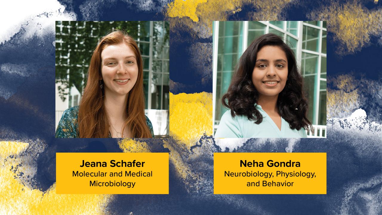 Headshots on blue and gold graphic background of the two Lang Prize winners