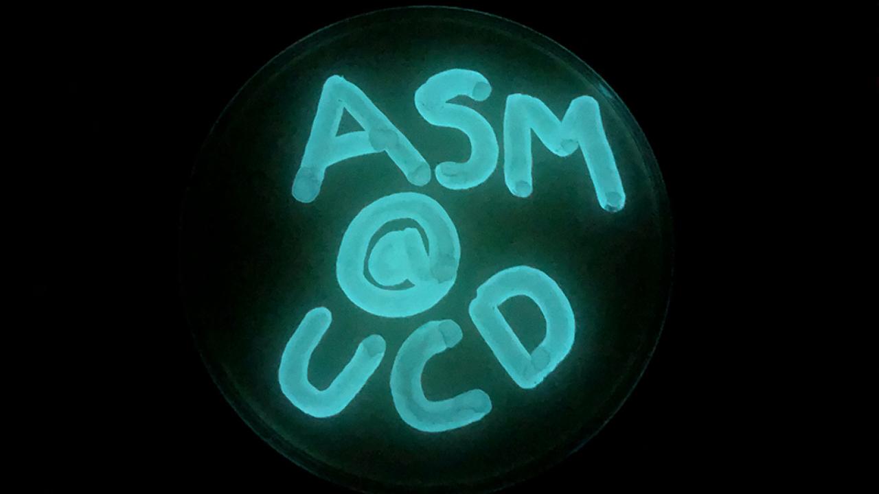Fluorescent blue lettering spelling ASM @ UCD