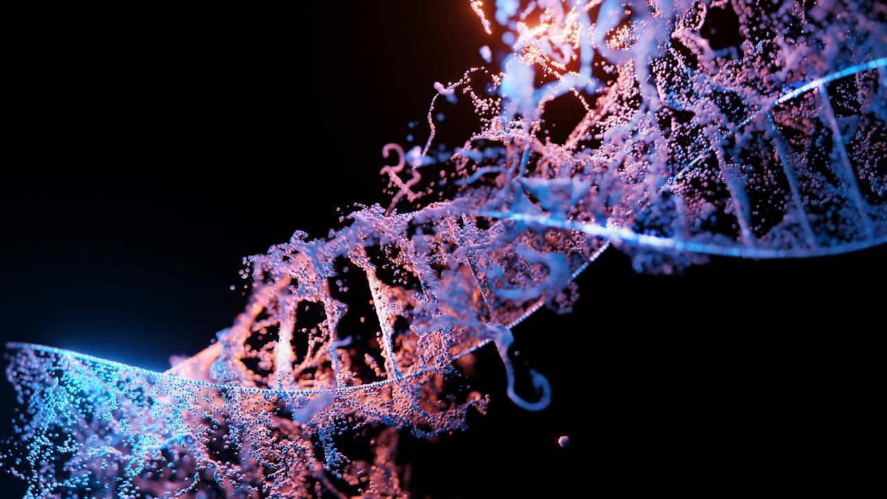 The study of our ever-shifting, tangle of a genome is called topology. Javier Arsuaga harnesses this area of mathematics in tandem with machine learning and computational modeling to investigate how diseases, like breast cancer, spread. (Sangharsh Lohakare on Unsplash)