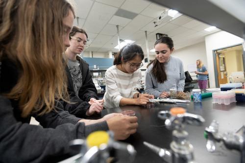 A group of students in an indoor laboratory setting