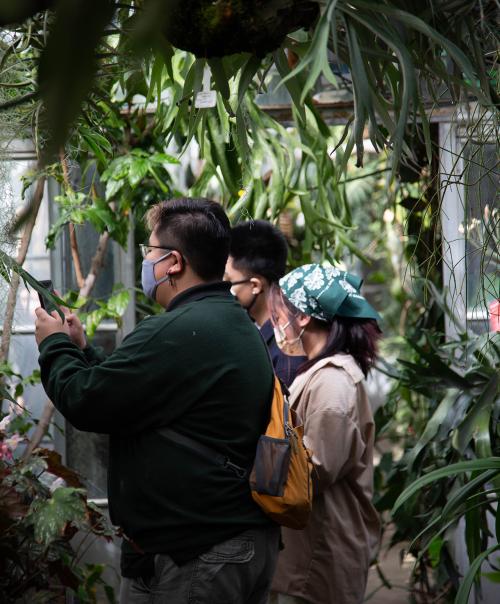 Visitors to the conservatory